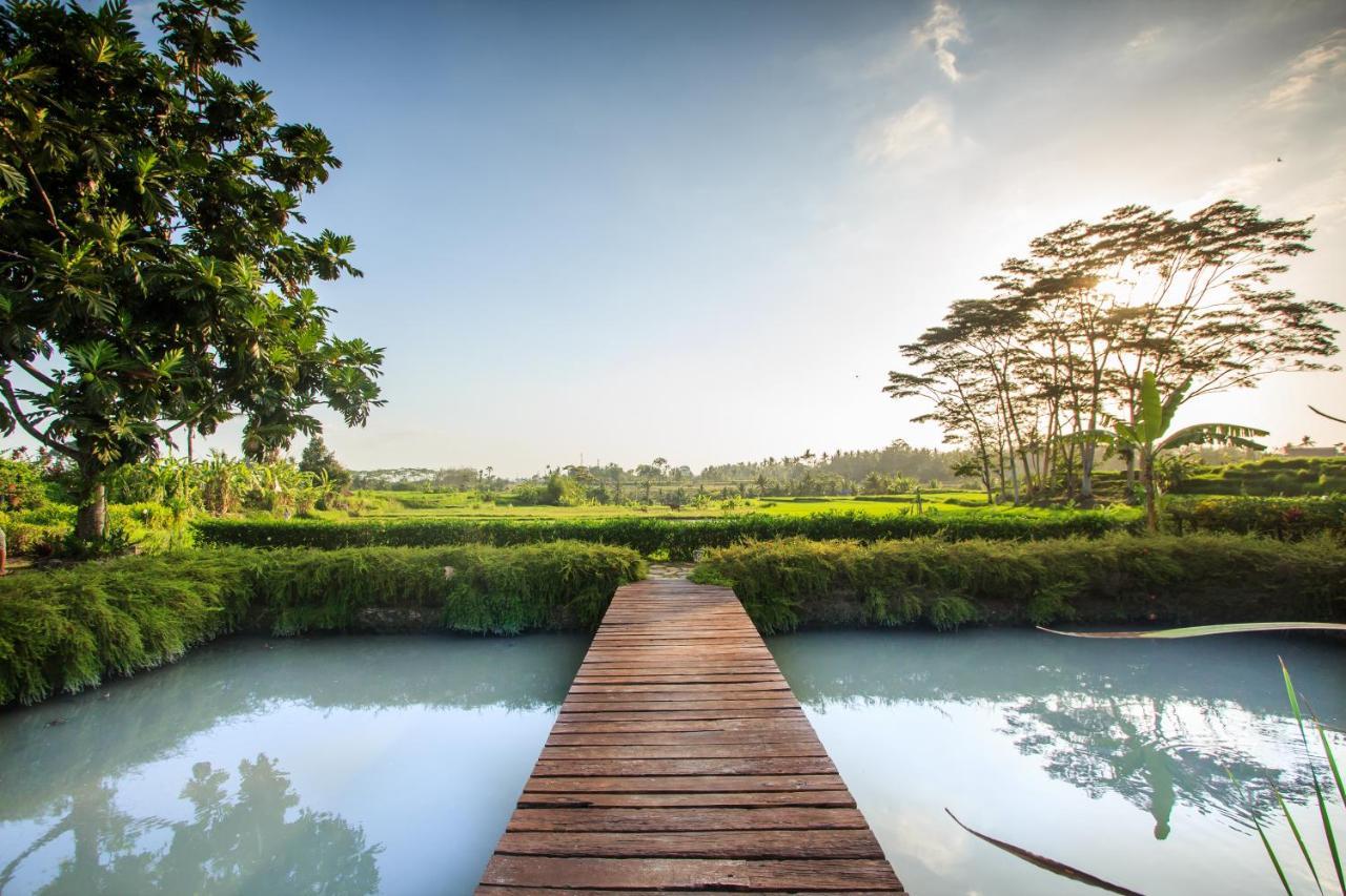 Griya Kcb Villa Ubud  Exterior photo