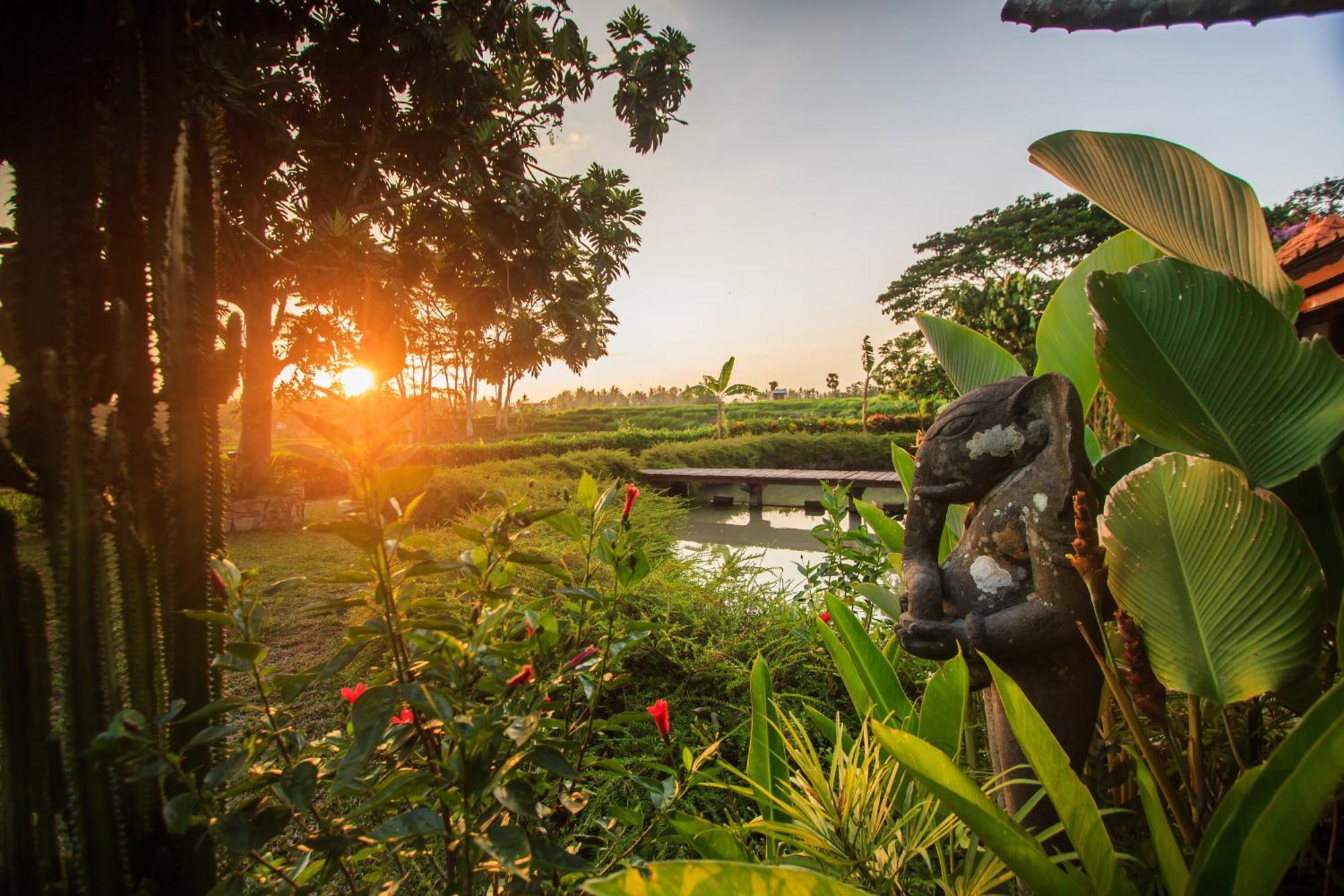 Griya Kcb Villa Ubud  Exterior photo