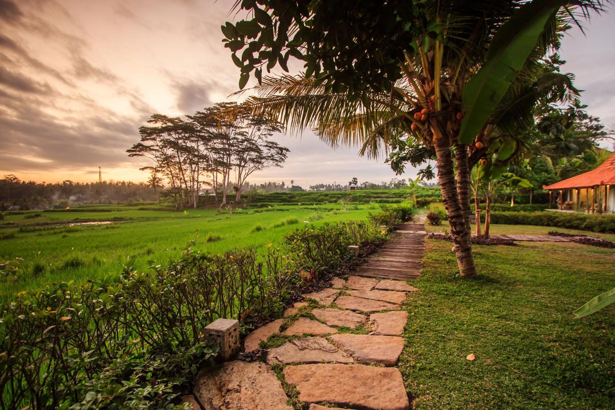 Griya Kcb Villa Ubud  Exterior photo